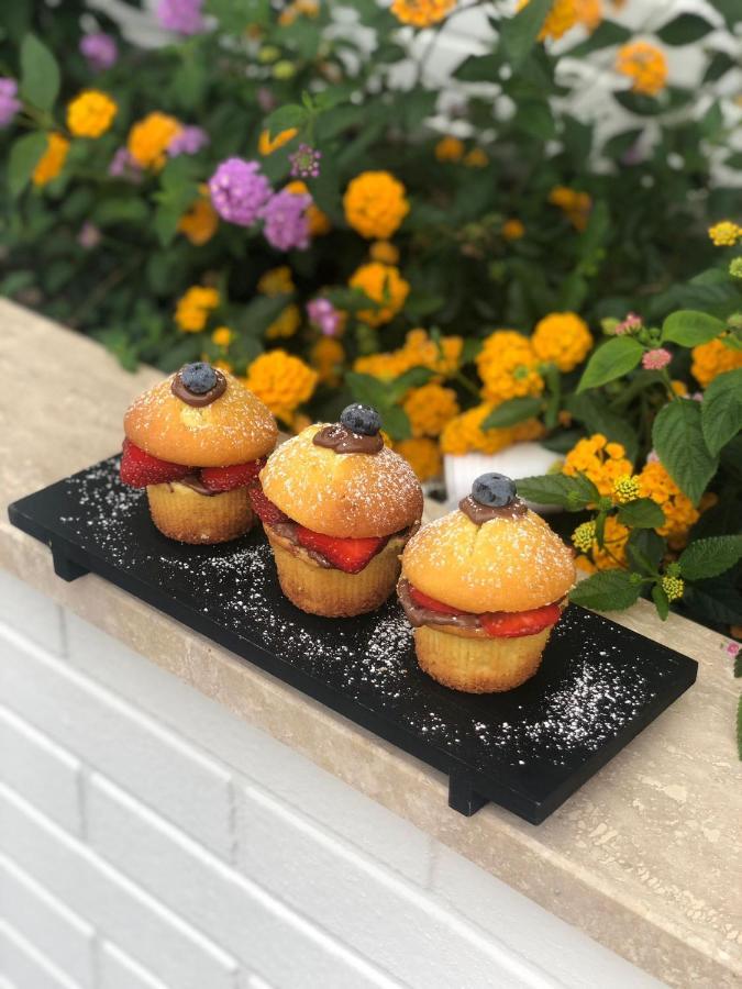 Villa D Erna 마리아나디피에트라산타 외부 사진