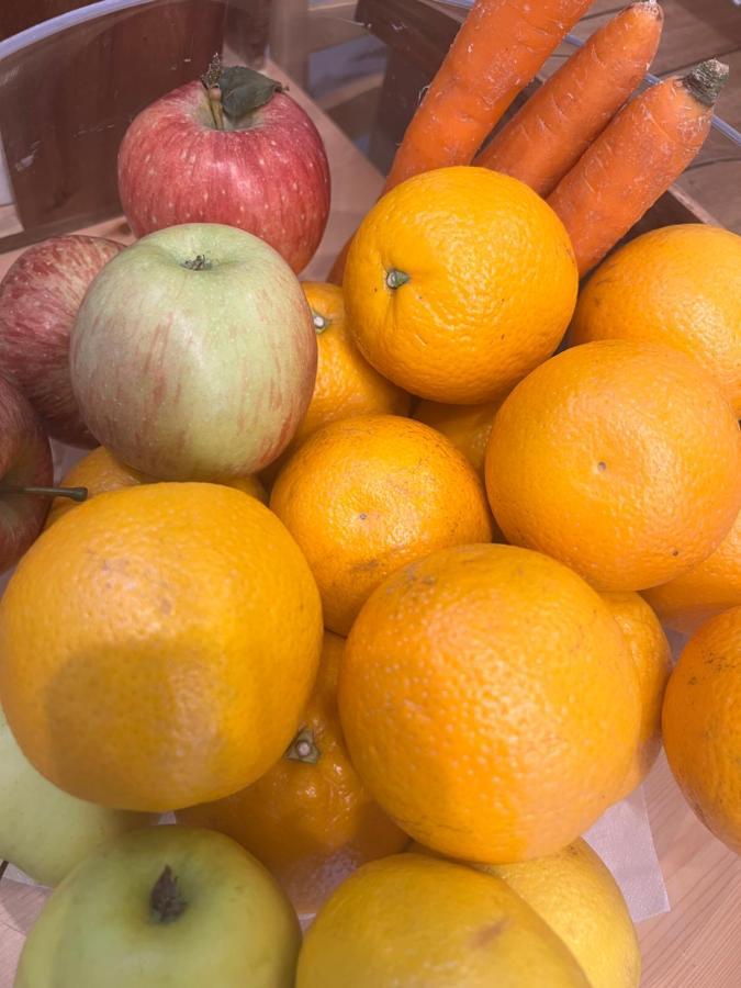 Villa D Erna 마리아나디피에트라산타 외부 사진